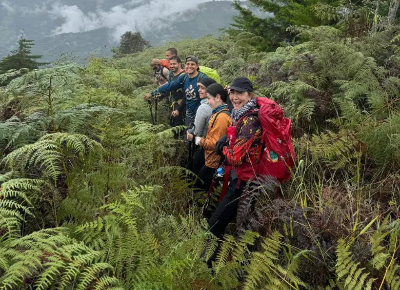 Abriendo sendero por camino de helechos. Foto: Cristina Rodriguez.