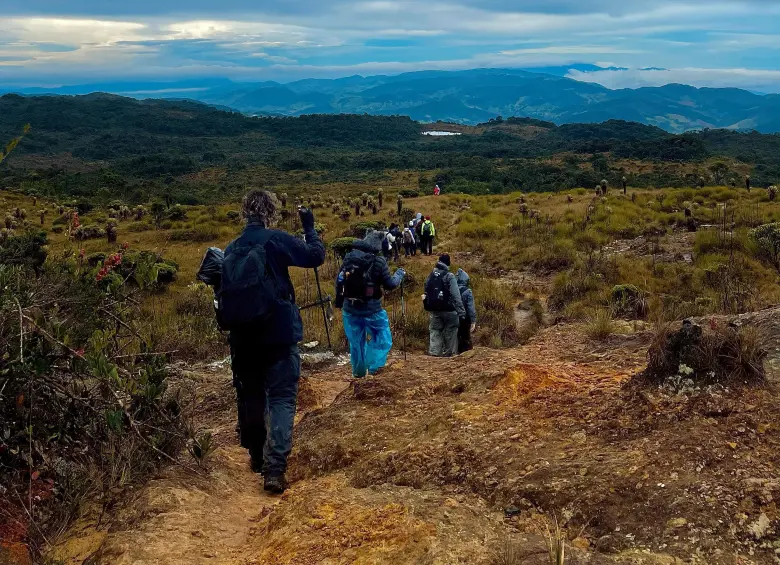 Excursionista asciende por terreno en el Páramo de Belmira durante la caminata nocturna, concentrado en cada paso. Foto: Cristina Rodriguez.