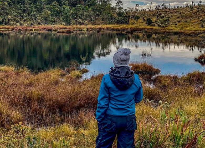 Lagunas del Páramo de Belmira al amanecer, con aguas quietas y heladas rodeadas vegetación andina. Foto: Cristina Rodriguez.