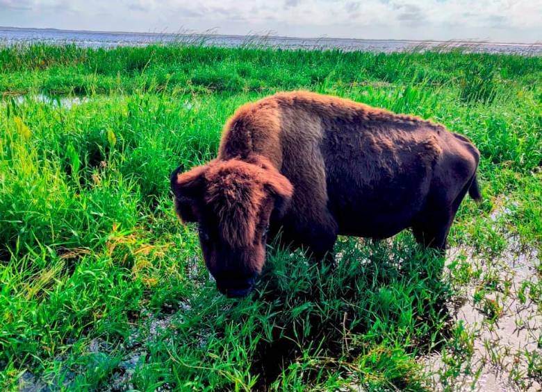 Vacaciones en Central Florida: una experiencia completa para los colombianos que buscan mucho más que Orlando