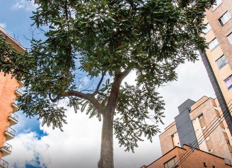 Así es la biodiversidad en el Área Metropolitana