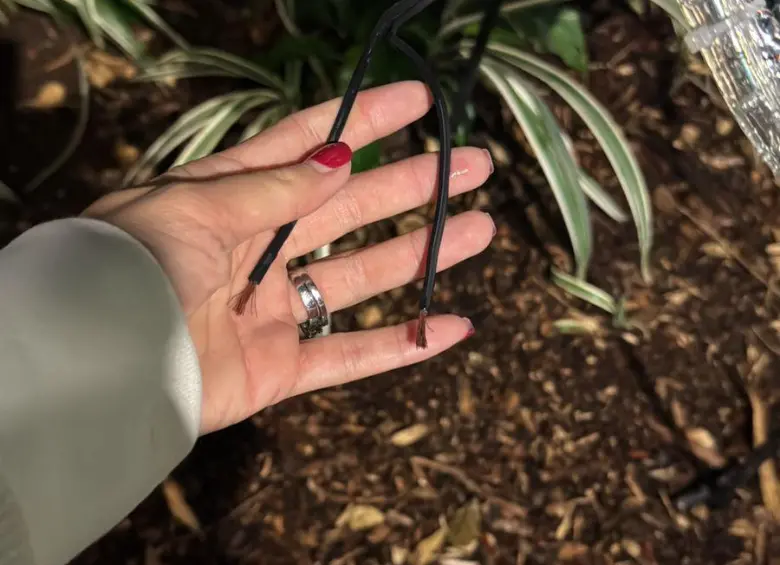 El Primer Parque de Laureles tampoco se salvó, los vándalos cortaron los cables y hurtaron 410 metros de cable. FOTO: Cortesía EPM