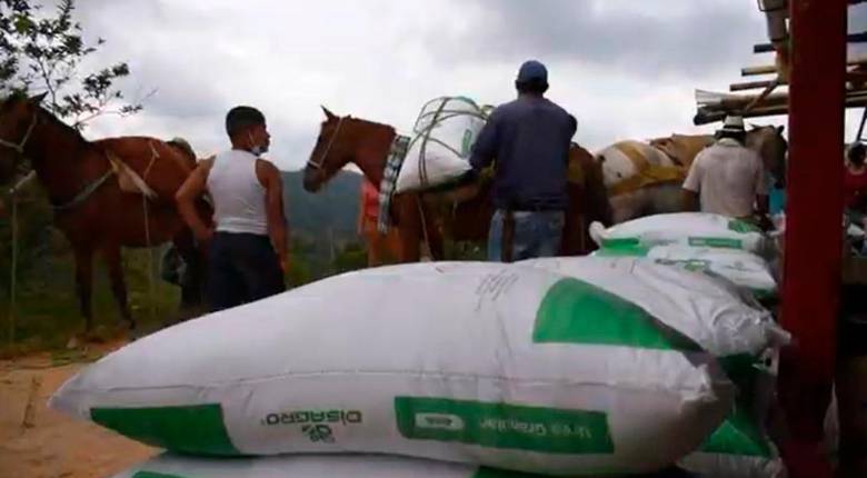 En la vereda San Juan, de San Roque, las familias que retornaron recibieron las ayudas para retomar los proyectos productivos de caña y café. FOTO Cortesía Unidad para las Víctimas