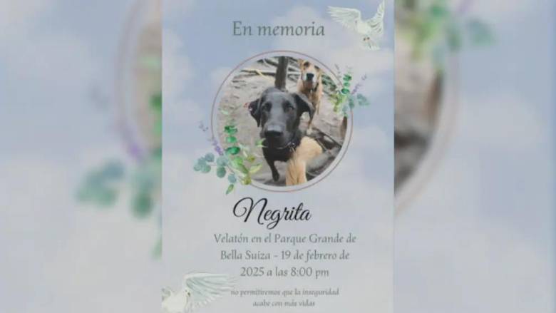 Invitación para la velatón de ‘Negrita’ la perra que impidió un hurto. FOTO: redes sociales