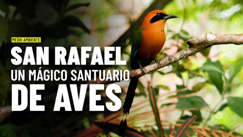 San Rafael: un paraíso para las aves y un modelo de turismo sostenible