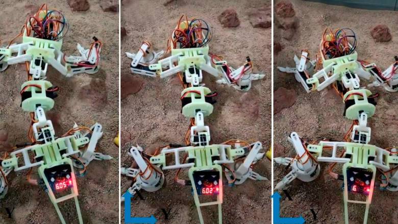 El robot tiene un sistema biomimético que imita los movimientos y balanceos de un lagarto real. FOTO: CORTESÍA
