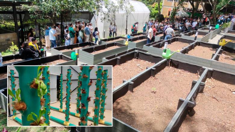 El proyecto incluye un invernadero semicubierto que puede lograr una producción total de 560 plantas por sistema, en un ciclo de siembra de 38 días aproximadamente. FOTOS Julio César Hererra