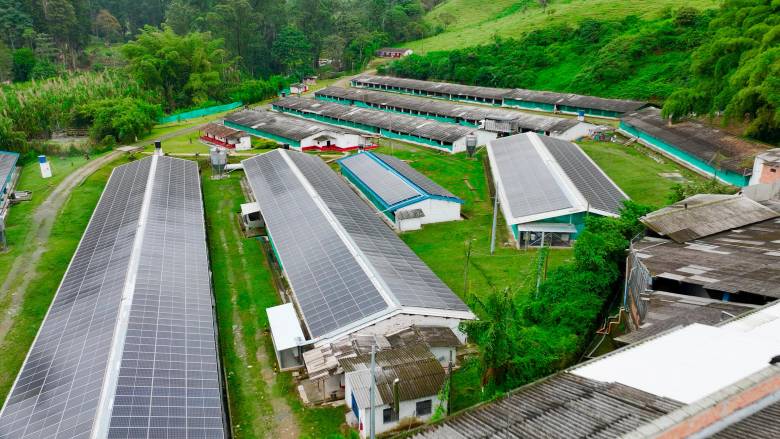 Tronex, una compañía que ilumina al Urabá 