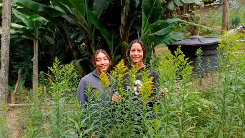 En su casa tienen una huerta que trabajan junto a sus mamá. Además de flores, cultivan hortalizas, especies aromáticas y todo lo que producen lo llevan a la Minorista para comercializar sus productos. FOTO CORTESÍA 