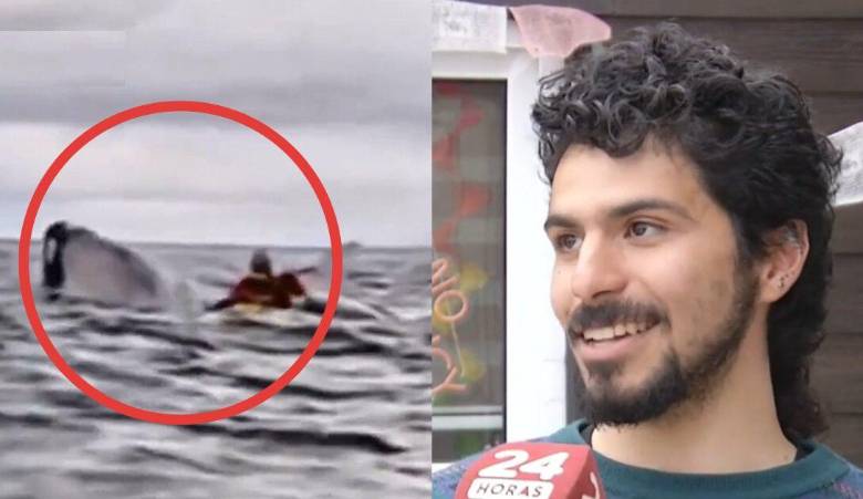 Momento exacto en que la ballena jorobada engulle accidentalmente a Adrián Simancas mientras navegaba en kayak en el estrecho de Magallanes. Segundos después, el joven fue expulsado ileso. FOTOS: Tomadas de redes sociales