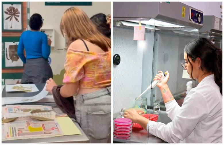 En La Estrella, Antioquia, inauguraron sala de colecciones biológicas con 800 ejemplares de plantas e insectos