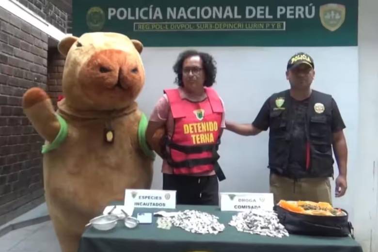 El sujeto fue capturado en flagrancia, por el uniformado con disfraz del “capibara del amor”, dentro de su propia casa y aseguró que la mercancía no le pertenecía. FOTO: POLICÍA DE PERÚ