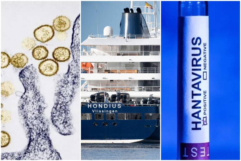 Tras el trágico saldo de tres muertes a bordo del crucero Hondius, el Ministerio de Sanidad español ha confirmado un nuevo caso positivo en Madrid. FOTO: AFP