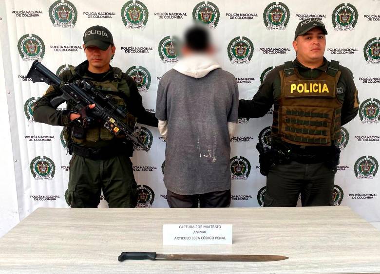 Aberrantes casos de maltrato animal en Antioquia: una lora está grave tras 32 años cautiva y un perro fue macheteado