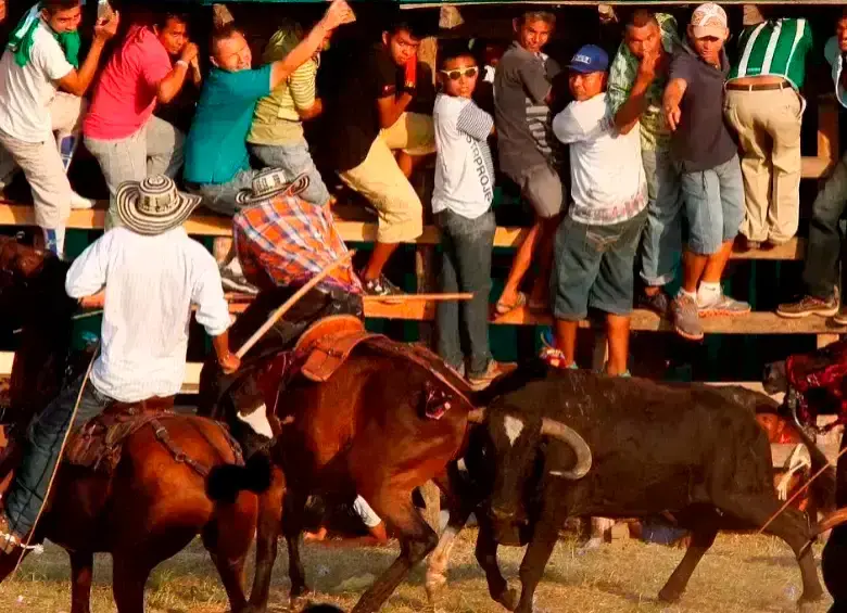 Todavía falta fin de año, lo que podría dejar un balance de decenas de heridos y animales afectados o muertos en Caucasia. FOTO: EL COLOMBIANO