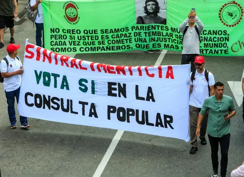 Luego de ser radicado el proyecto, el Senado tendrá un mes para emitir el concepto que permitiría convocar a los ciudadanos a votar. Foto: Camilo Suárez