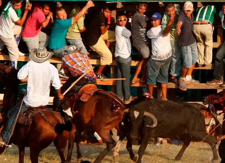 Cientos de animales, sobre todo caballos, han muerto en las corralejas de Caucasia, las más sanguinarias en Antioquia. FOTO: CORTESÍA