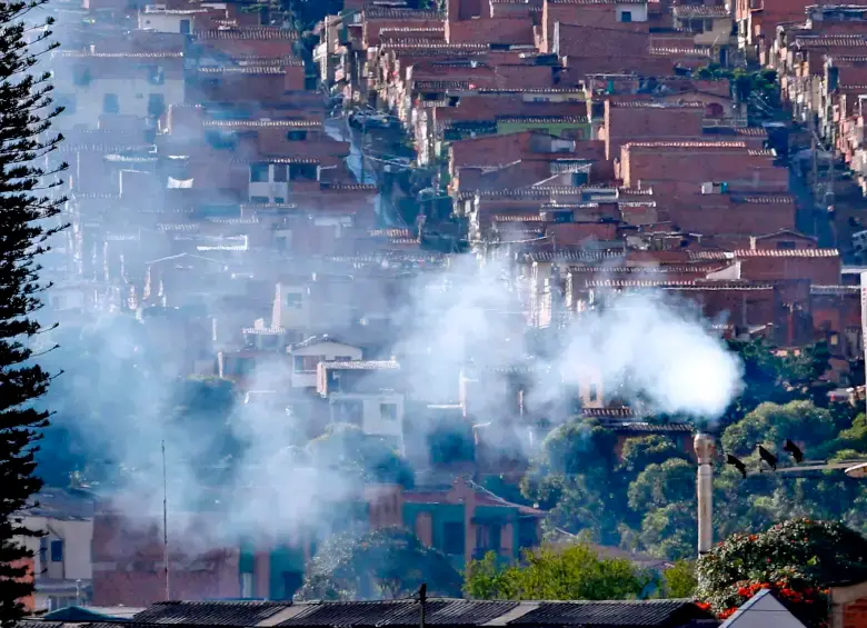 La capacidad de los océanos y los bosques para absorber CO₂ se está debilitando debido al calentamiento global y a eventos extremos como sequías e incendios. FOTO 