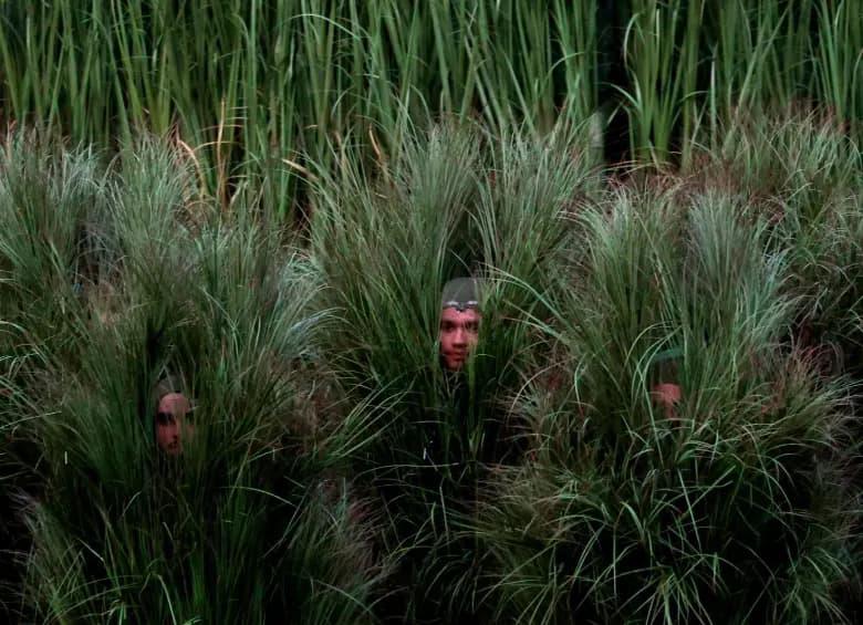 Decenas de bailarines disfrazados de arbustos hicieron parte de la escenografía del show de medio tiempo de Bad Bunny en el Super Bowl. FOTO: Getty Images. 