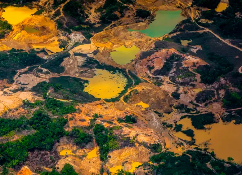Antioquia padece una deforestación crítica en zonas como Bajo Cauca, la zona de bosques del Oriente antioqueño y el Nordeste. FOTO: Manuel Saldarriaga