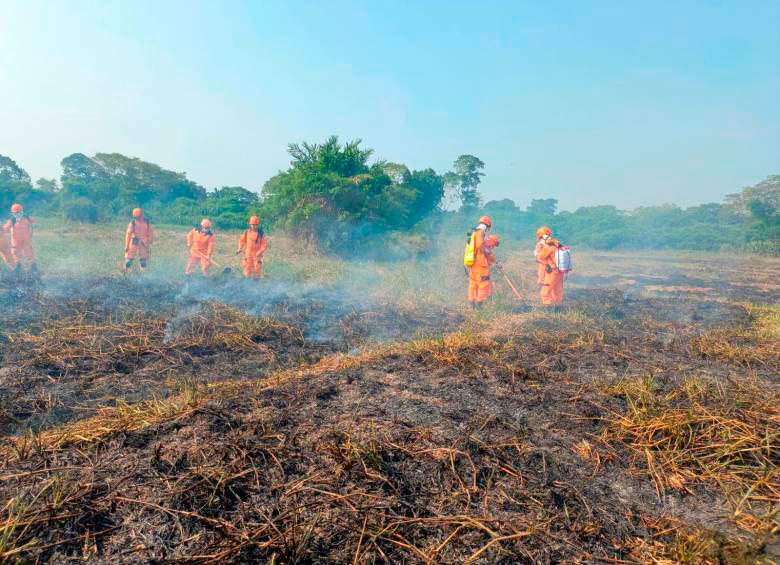 ¿El año de los incendios? Las conflagraciones más grandes que han