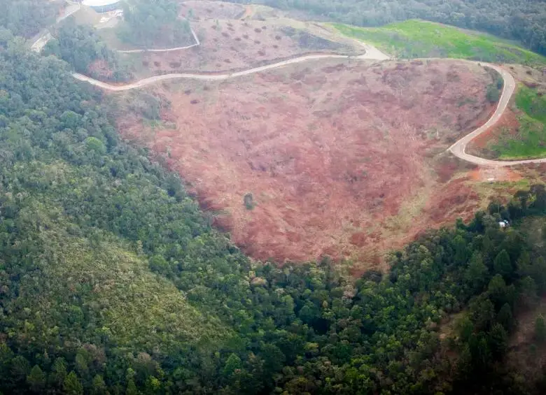La Procuraduría llamó la atención por la relación directa entre la apertura de vías irregulares, con el avance de los cultivos ilícitos y el crecimiento descontrolado de la frontera agropecuaria. FOTO: Juan Antonio Sánchez