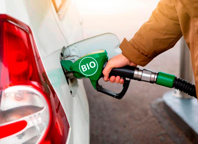 Según Fedebiocombustibles, ya están llegando al país vehículos con una capacidad de usar mezclas del 85% de bioetanol en gasolina. Foto: iStock