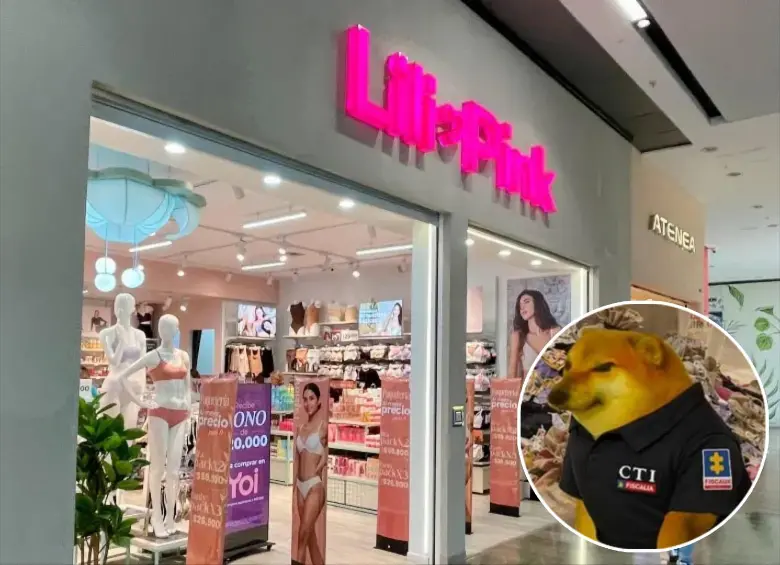 Mientras avanzan las investigaciones sobre Lili Pink en varias ciudades del país, en redes sociales los usuarios han reaccionado con una ola de memes a la situación. FOTO: Manuel Saldarriaga, redes sociales. 