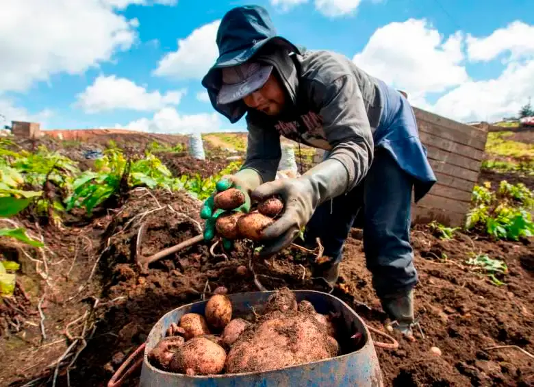 Se desembolsaron más de $73.000 millones para emprendedores y productores con estas líneas de crédito. FOTO: MANUEL SALDARRIAGA