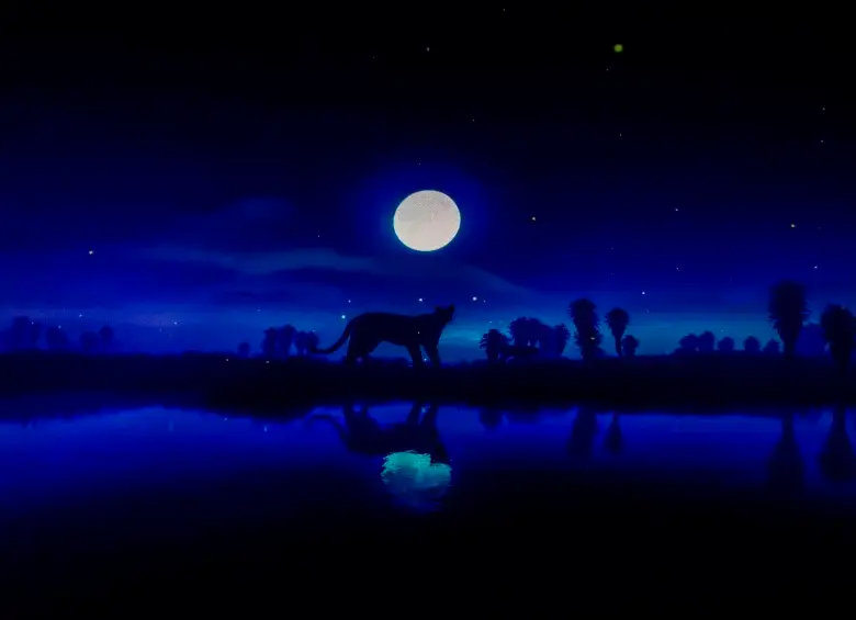 Animales Celestes: el show del Planetario de Medellín que ganó un premio internacional por narrar el cielo desde la biodiversidad