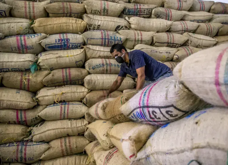 Aunque el clima ha complicado las cosas en el corto plazo, el café colombiano sigue mostrando su fortaleza en los mercados globales. Las exportaciones van en récords históricos, pero la producción deberá sortear los efectos de las lluvias para mantener el ritmo. FOTO: Juan Antonio Sánchez.