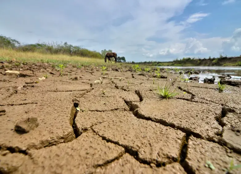 El 50% del agua que se consume en el mundo ahora se obtiene de las aguas subterráneas. FOTO: Colprensa