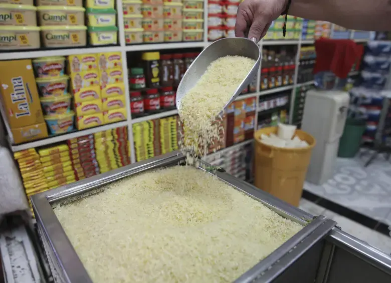 El valor del arroz pagado al productor bajó un 11,8% en 2024 y se mantuvo en ese nivel durante el primer semestre de este 2025. FOTO: El Colombiano.