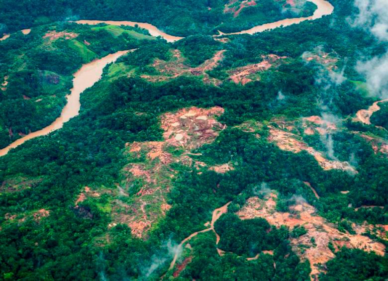 La deforestación incremento 1,5% entre 2020 y 2021, aunque hubo una reducción con respecto a 2018. FOTO JULIO CÉSAR HERRERA