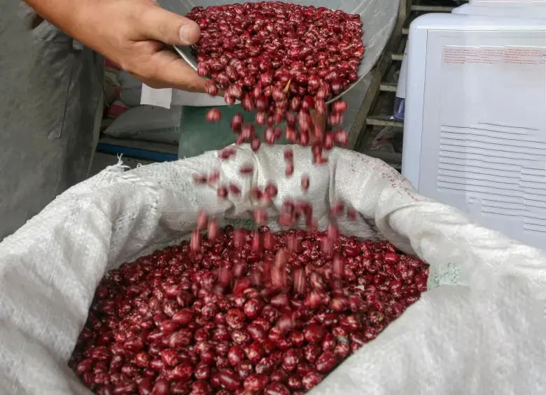 Las tarifas arancelarias serán diferenciadas: 35%, 50% y 75%, dependiendo del nivel de producción nacional y la capacidad de abastecimiento interno. Foto: Juan Antonio Sánchez