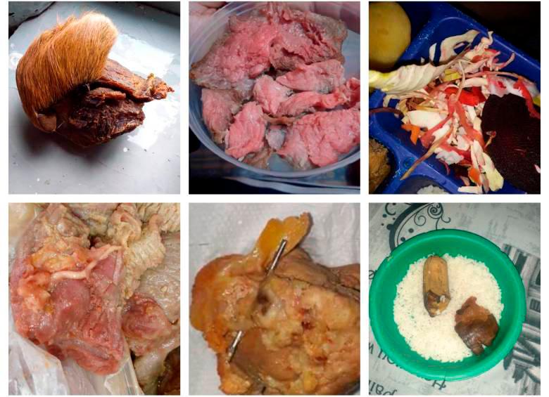 Internos en Pedregal anuncian huelga de hambre tras denunciar suministro de carne de caballo en la comida