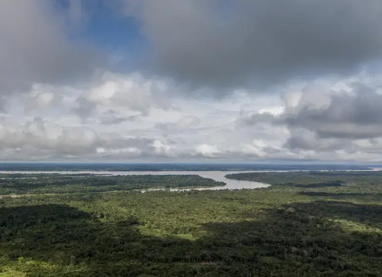 Putumayo y Guaviare mostraron aumentos en las alertas de deforestación, con 140 y 167 hectáreas adicionales. FOTO: SANTIAGO MESA RICO