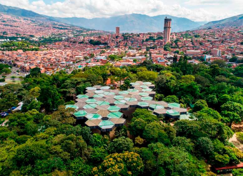 El Jardín Botánico tiene entre sus proyectos conformar una de las colecciones de bromelias más completas. FOTO manuel saldarriaga