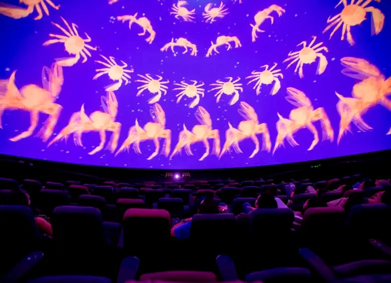 Animales Celestes: el show del Planetario de Medellín que ganó un premio internacional por narrar el cielo desde la biodiversidad