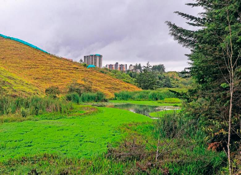 Rionegro por fin invertirá recursos para recuperar el histórico humedal EP-Río