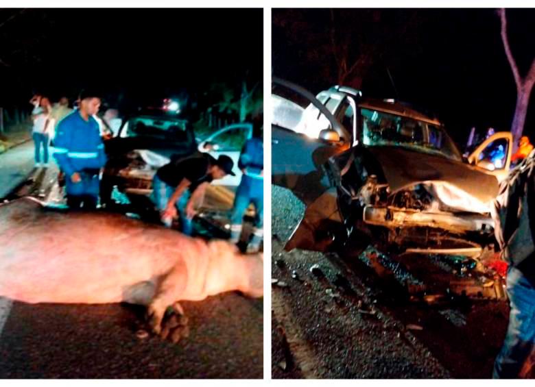 Así terminó el hipopótamo involucrado en el accidente de tránsito ocurrido el pasado 11 de abril. FOTO: cortesía.