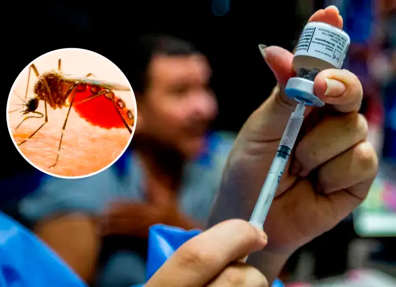 El ministerio dijo que el brote de fiebre amarilla registrado en el país el año pasado fue contenido. FOTO JULIO CÉSAR HERRERA