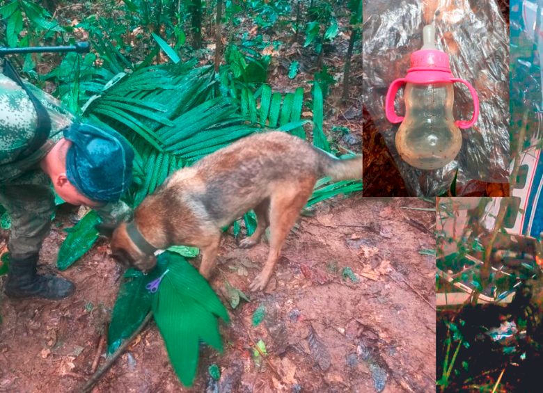 Los equipos de búsqueda han encontrado huellas refugios improvisados en la selva. FOTO Aerocivil