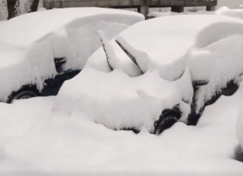 Carros completamente cubiertos por las nevadas en Múnich, Alemania. FOTO: Captura de video