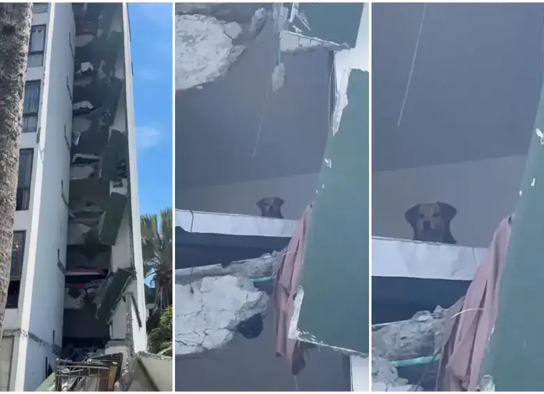 Kiara atrapada en el quinto piso del edificio. Foto: redes sociales @MelyMunera