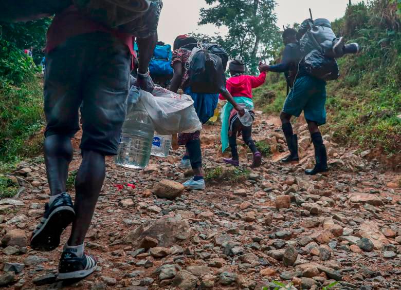 Los migrantes que cruzan la selva del Darién se enfrentan a peligros de todo tipo. FOTO Manuel Saldarriaga