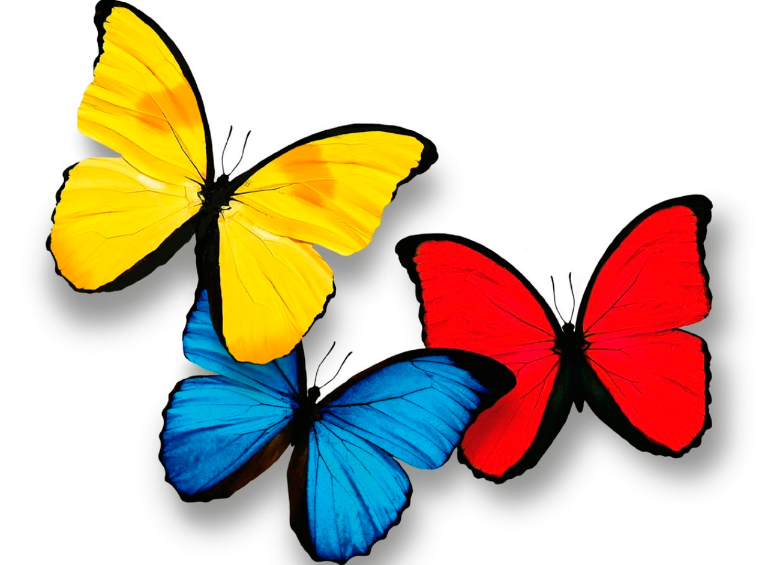 Este es el logo diseñado por el publicista Carlos Duque para la transmisión presidencial. FOTO CORTESÍA