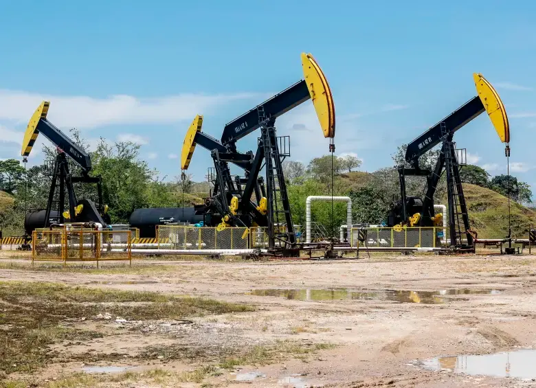 Ecopetrol habría contaminado varios sitios con petróleo, incluidas fuentes de agua y humedales biodiversos. FOTO JAIME PÉREZ. 