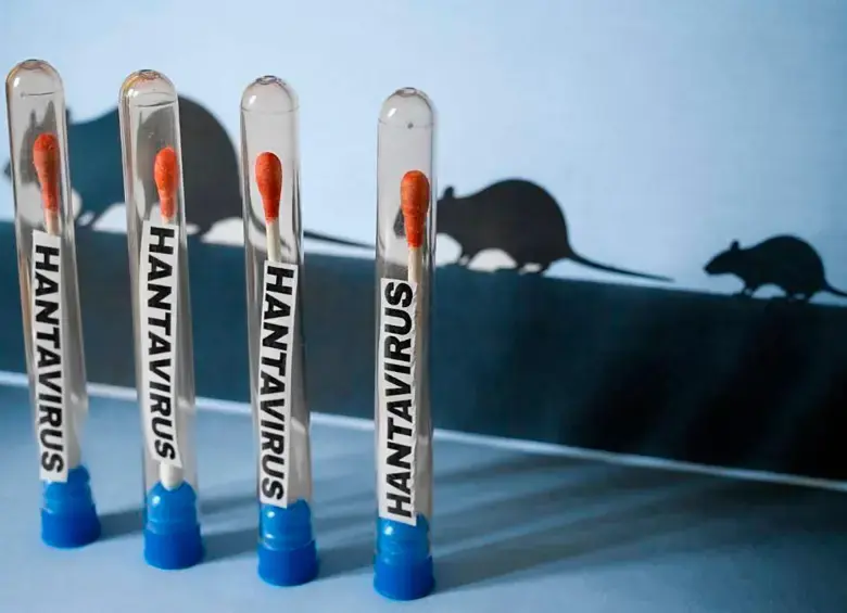 Hantavirus: Moderna desarrolla vacuna en fase inicial y dispara sus acciones. Foto: AFP