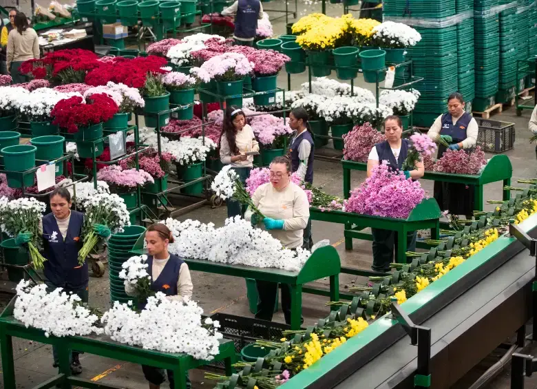 Los horarios de la semana laboral en Colombia vienen reduciéndose desde 2023. FOTO: Esneyder Gutiérrez